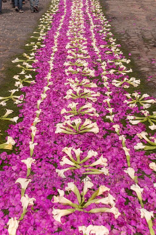Detalle de la alfombra Antigua Guatemala