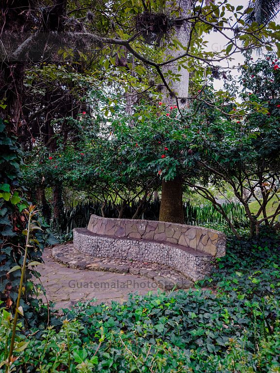 Jardinización en el Cerrito del carmén
