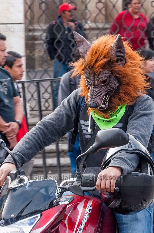 Participante en la Caravana del Zorro