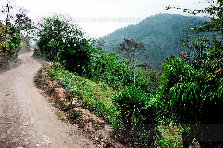 Sierra de Chamá
