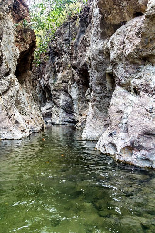 Cañon