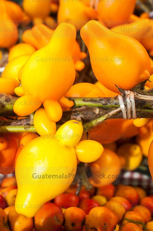 Adornos naturales para la decoración navideña