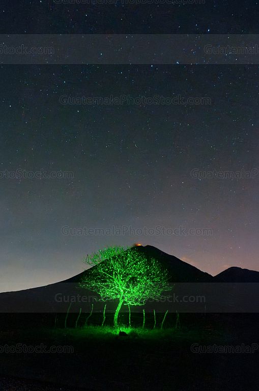 Volcán de Pacaya