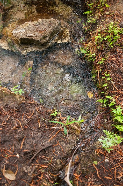 Nacimiento del Río Lagartero