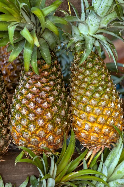 Piñas