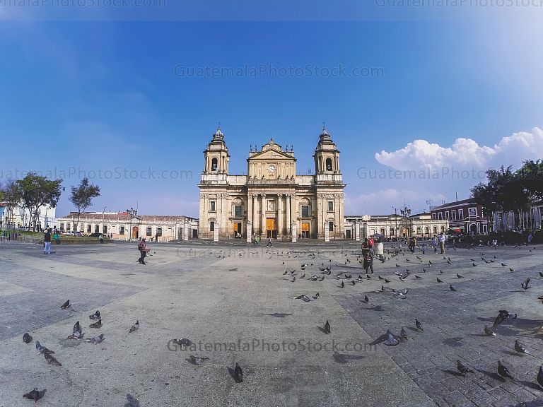 Catedral Metropolitana