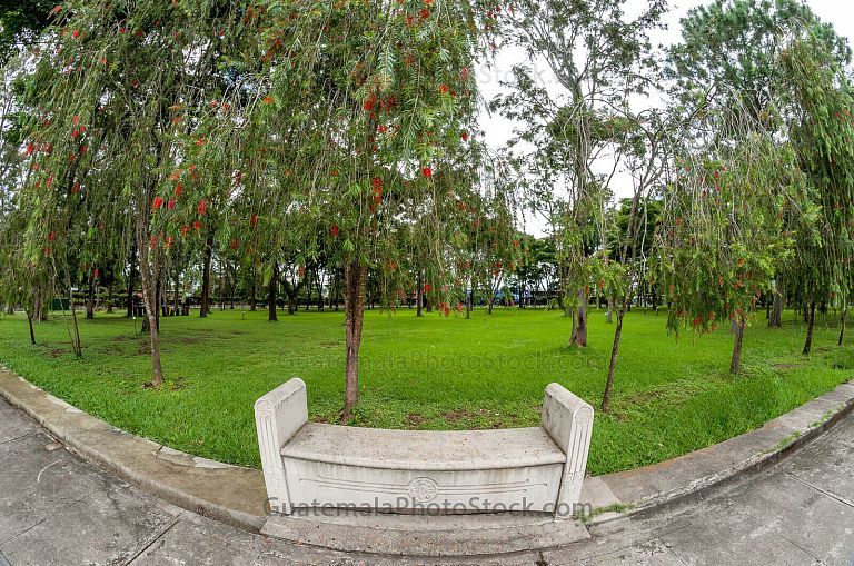 Bosque sonoro