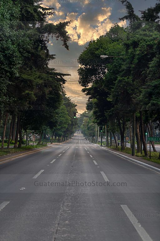 Avenida la Reforma, Zona 9