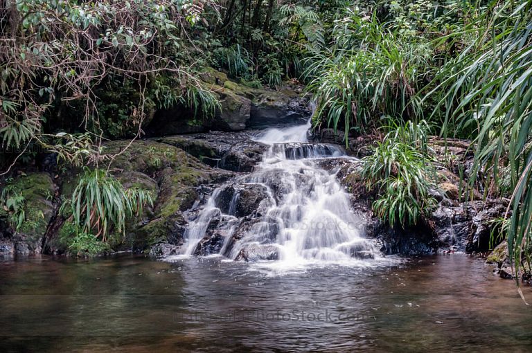 Río del Biotopo