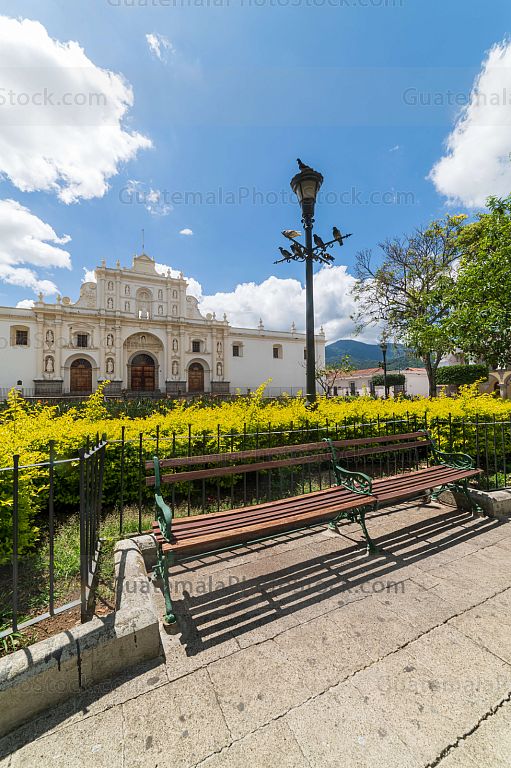 Plaza central y San José Catedral