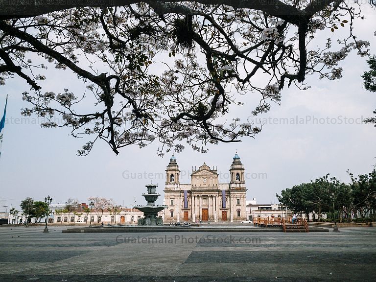 Catedral Metropolitana, Ciudad de Guatemala