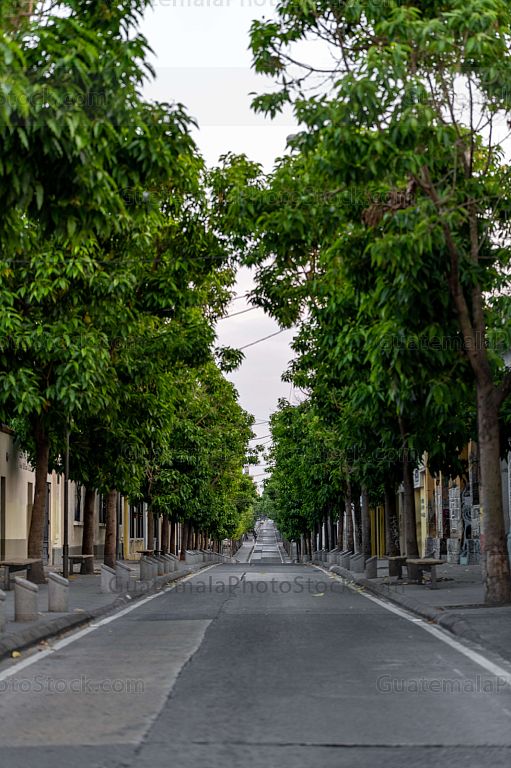Sexta Avenida, Centro Histórico, Zona 1