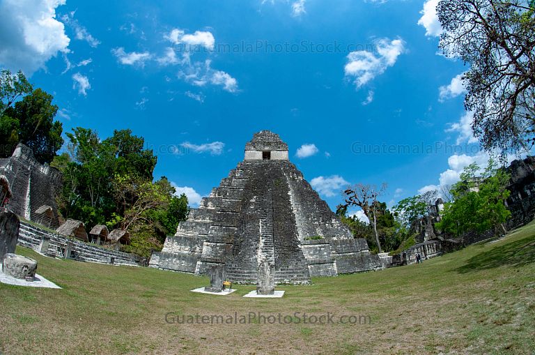 Templo I de Tikal, Gran Jaguar, Tikal