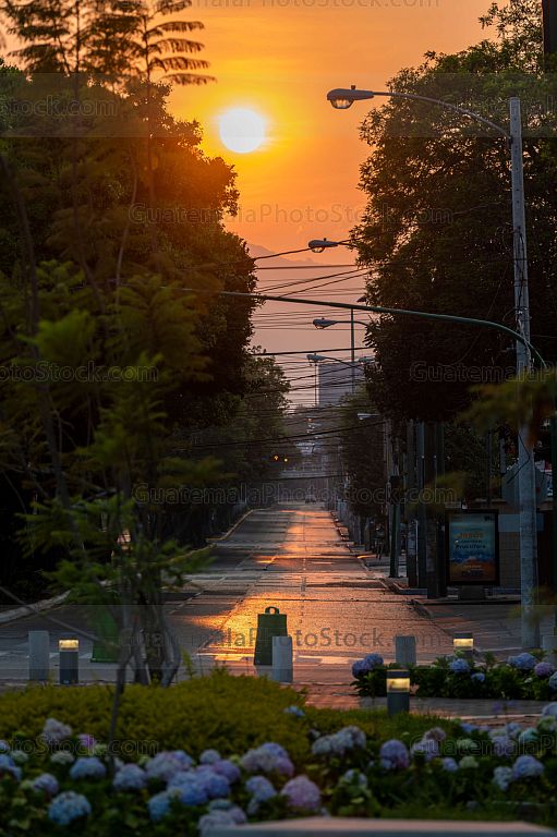 Calle Montufar, Zona 9