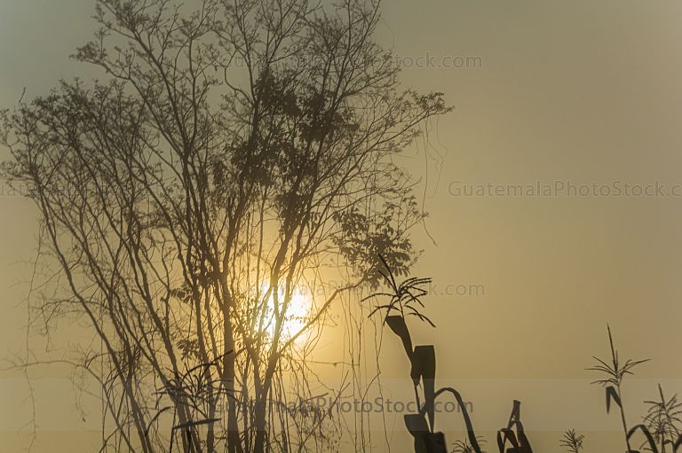 Naturaleza guatemalteca