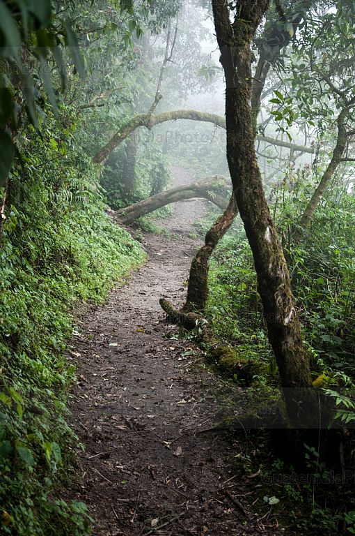 Sendero alrededor de la Laguna de Chicabal