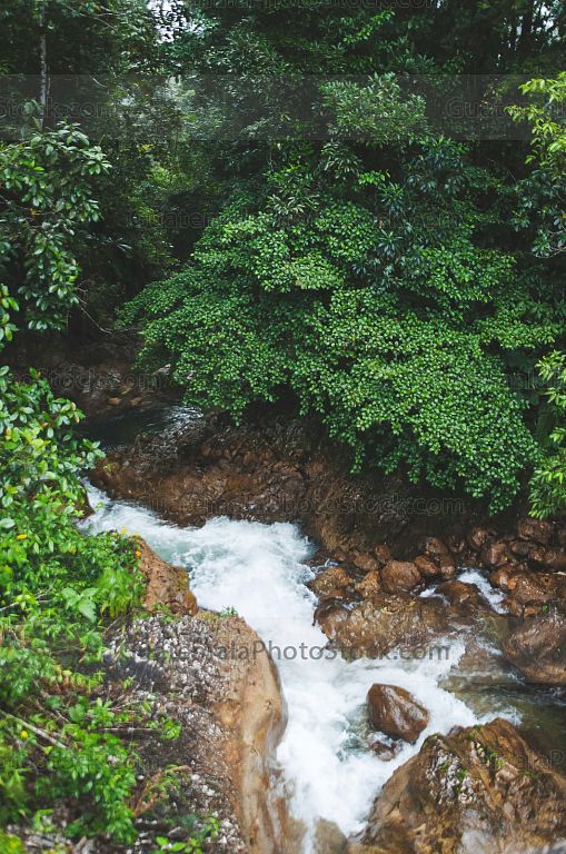Río San Carlos Chancolín