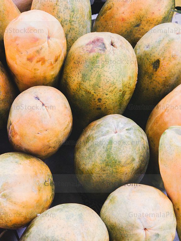 Papaya