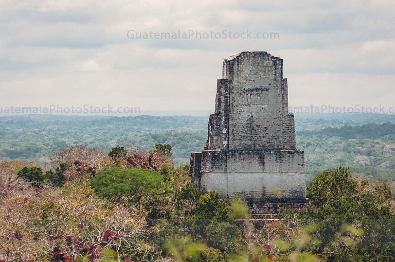 Templo III, Parque Nacional Tikal