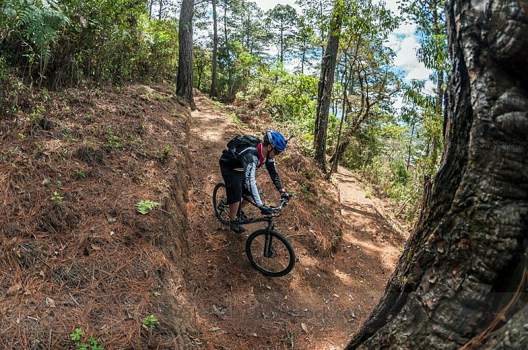 Bicicleta de montaña