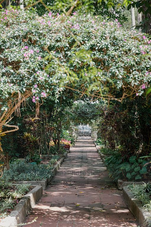 Sendero dentro del Jardín Botanico
