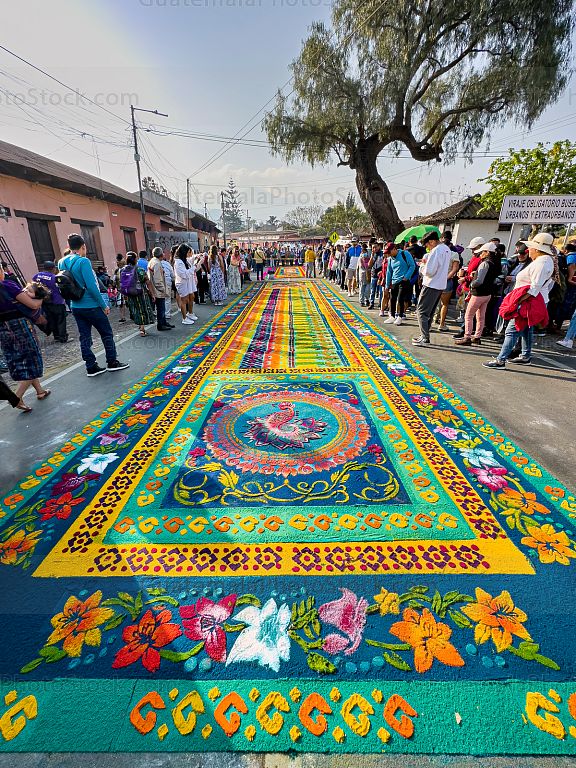 Alfombra en la calle ancha, Antigua Guatemala