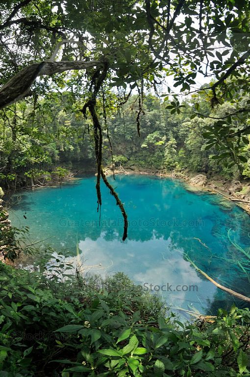Cenote de Laguna Brava