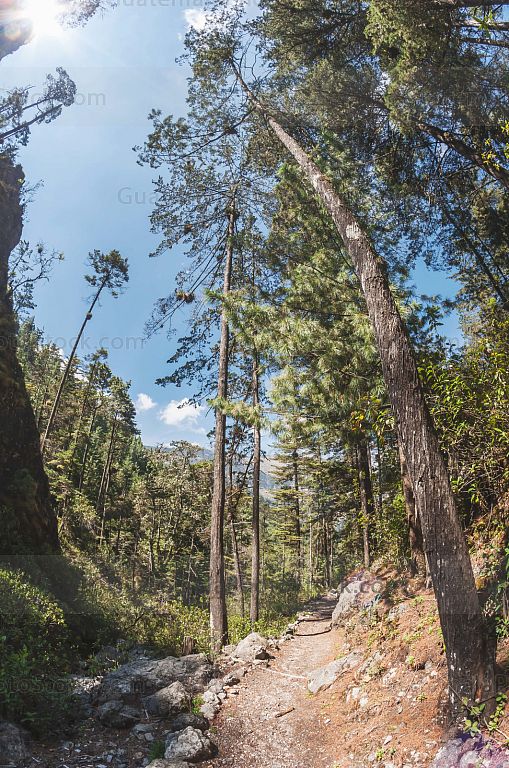 Sendero La Maceta