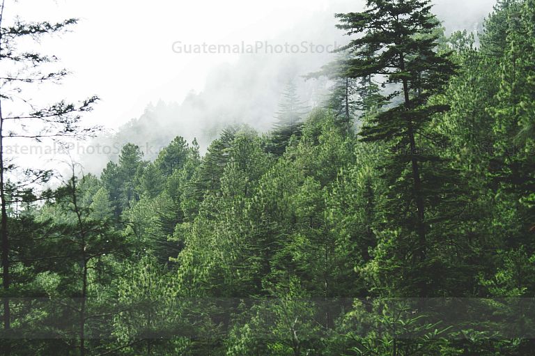 Sendero La Maceta