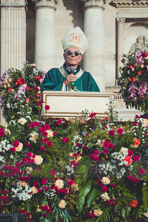 Monseñor Gonzalo de Villa, SJ