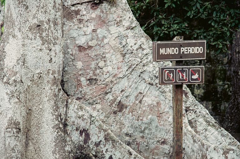 Vestigios mayas en Tikal