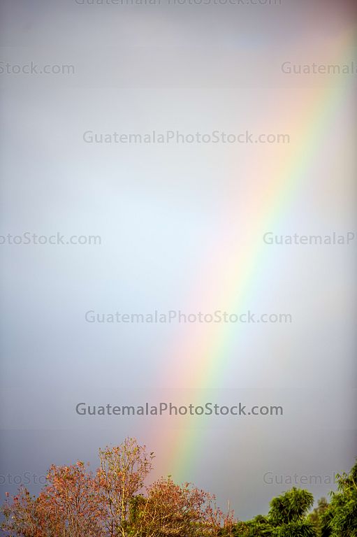 Arcoiris