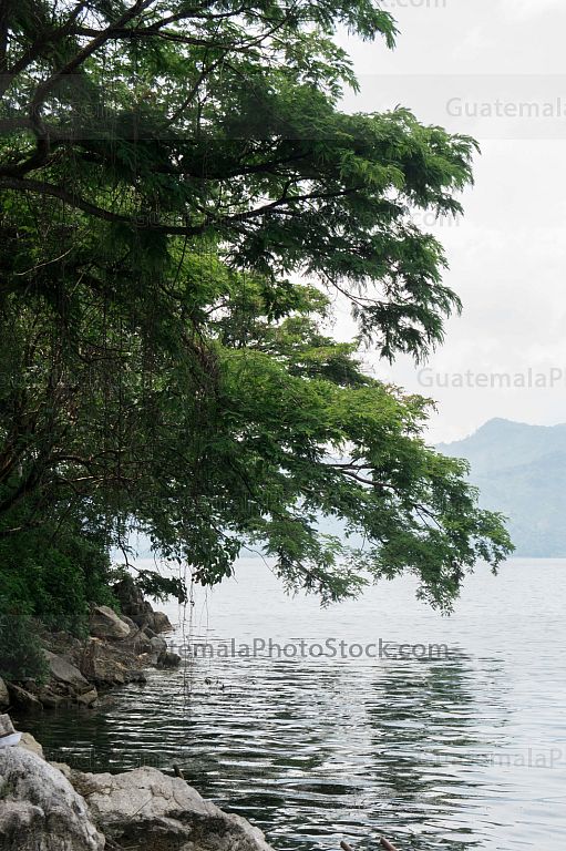 Laguna de Ayarza