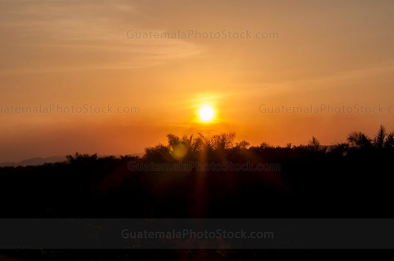 Sol al atardecer