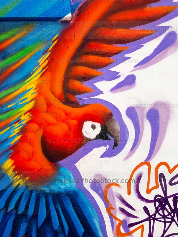 Guacamaya, Graffiti efímero en la quinta avenida de la Ciudad de Guatemala