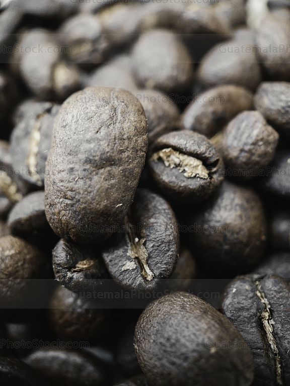 Granos de café tostado