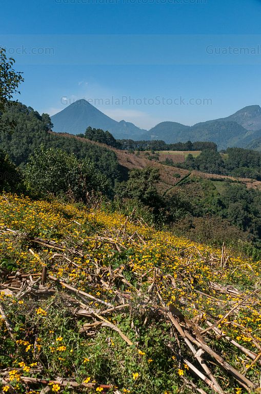 Campos agricolas