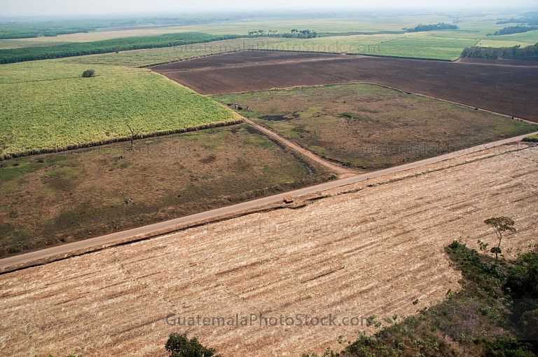 Campo agricola en ingenio azucarero
