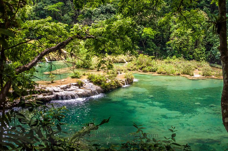 Pozas de Semuc Champey