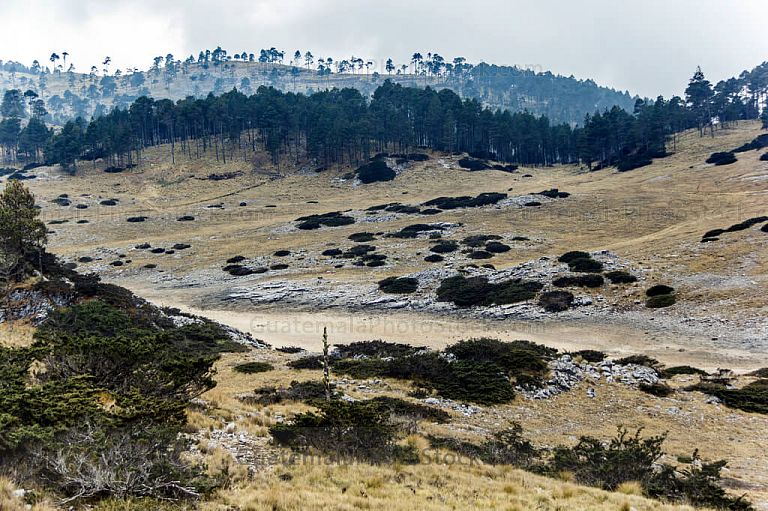 Paisaje de la laguna de ordoñez en verano