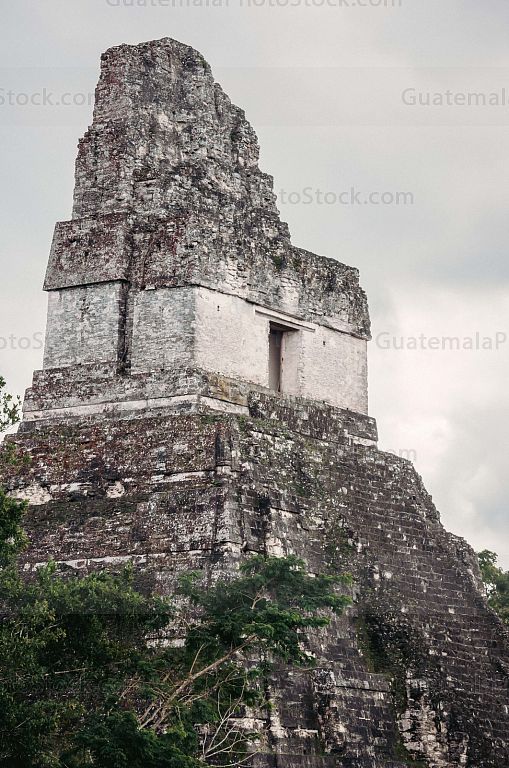 Templo I, Gran Jaguar