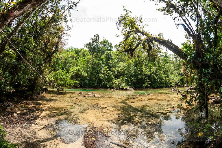 Cenotes de la Laguna Brava