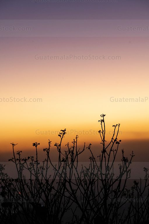Atardecer sobre la Costa Sur
