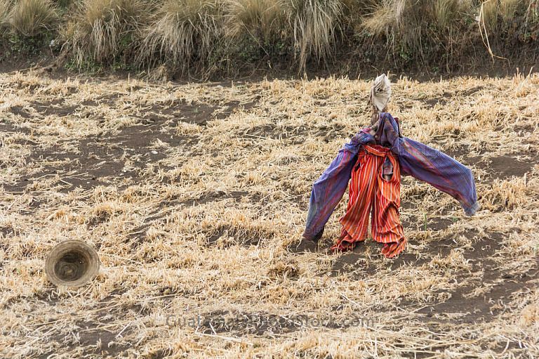 Espantapajaros en la Sierra de los Cuchumatanes
