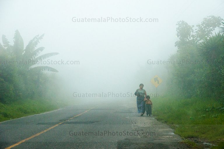 Caminando entre la neblina