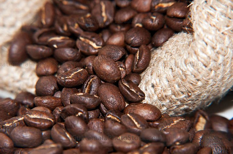 Granos de café tostado