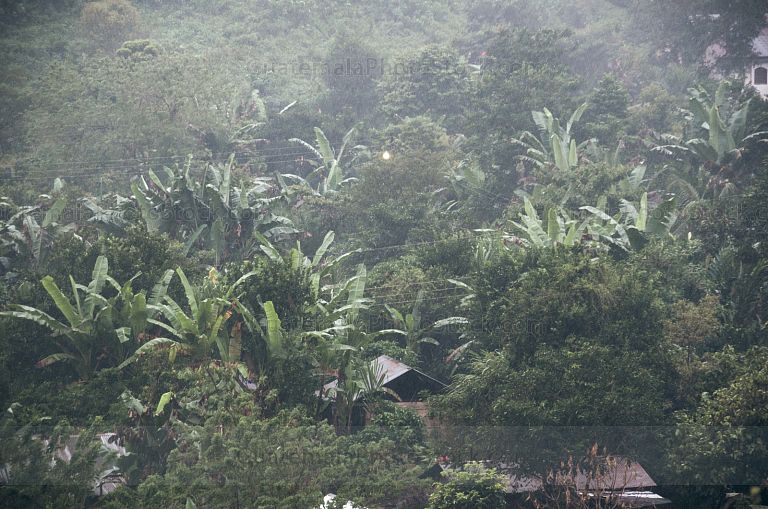 Caserio bajo la lluvia de Alta Verapaz
