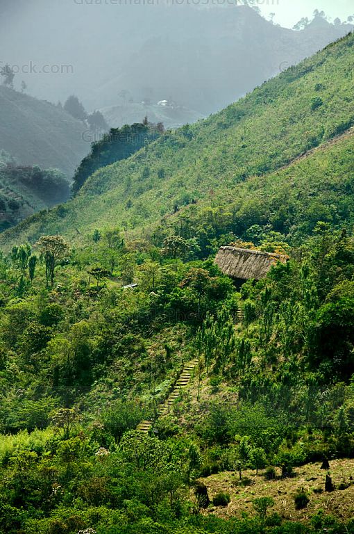 Sierra de Chamá