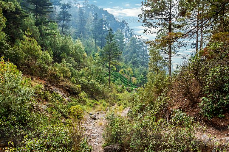 Sendero La Maceta