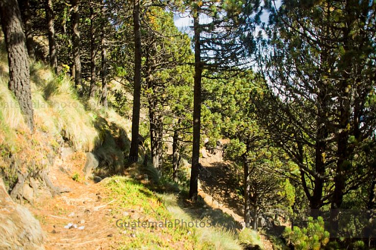 Camino a la corona del Volcán de Agua